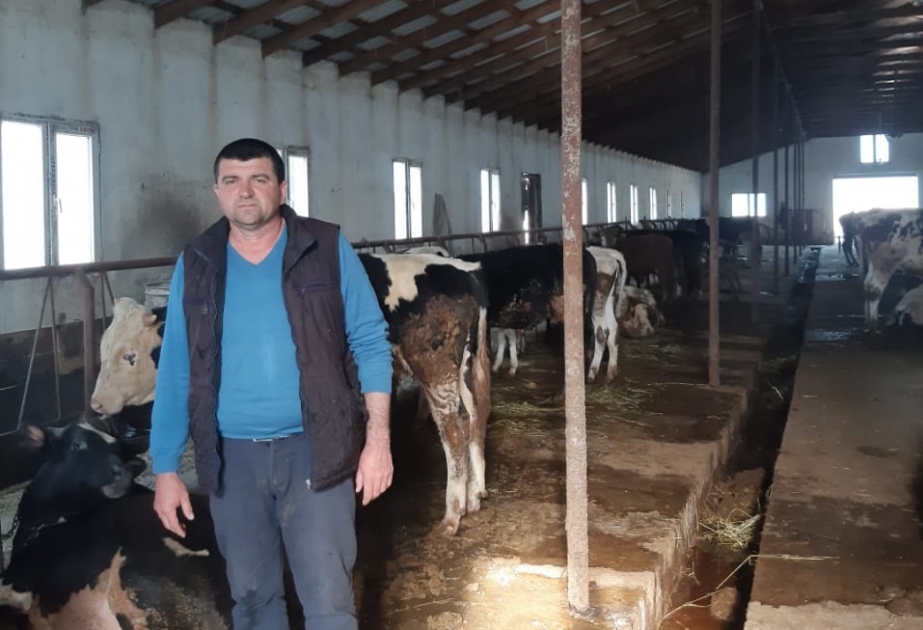 İsmayıllıdan olan fermer heyvandarlıq məhsulları üçün qablaşdırma müəssisəsi tikəcək