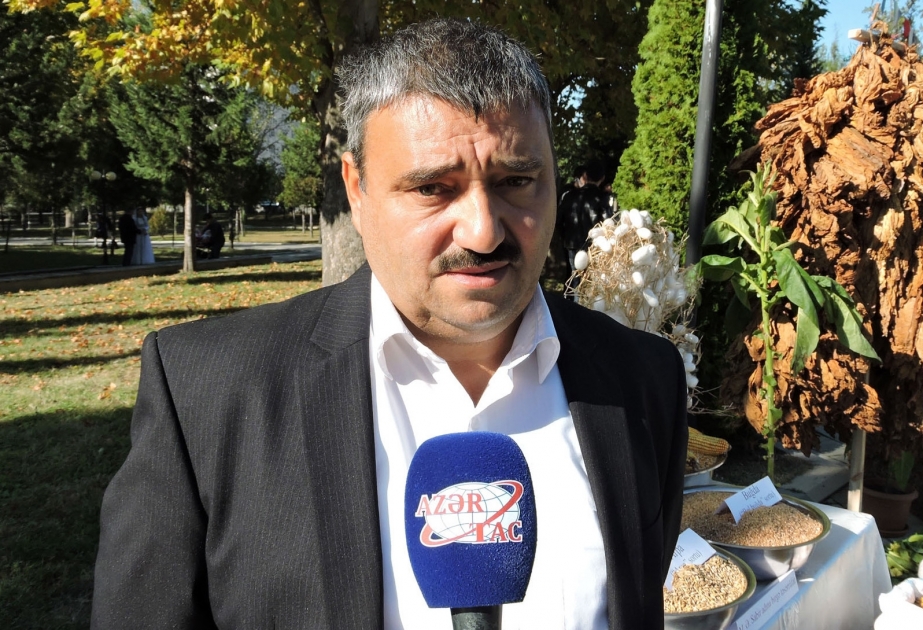Balakənli fermer: Təsərrüfat fəaliyyəti ilə, əkin-səpinlə məşğul olmağımızda heç bir problem yoxdur