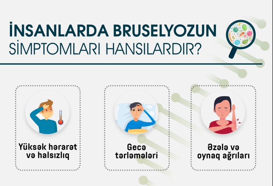 Çiy, yaxşı bişməmiş ət və süd məhsulları bruselyoz xəstəliyinə yoluxmaya səbəb ola bilər