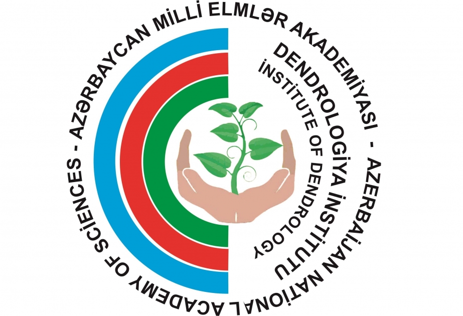 Dendrologiya İnstitutu fəaliyyətini karantin rejiminin tələblərinə uyğun qurub