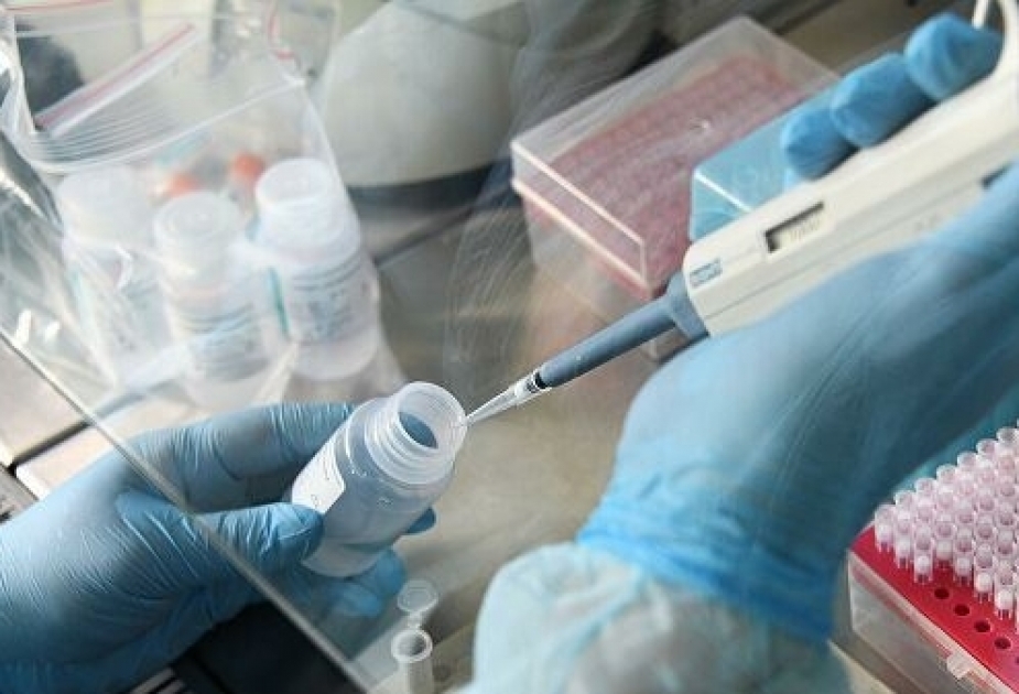 OMS impulsa proyectos y tratamientos médicos frente a Covid-19
