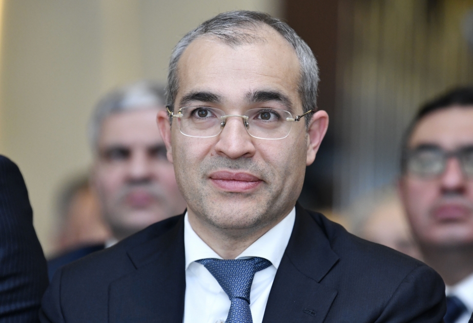 Nazir: Bu vaxtadək 22,9 min fərdi sahibkara maliyyə dəstəyi göstərilib