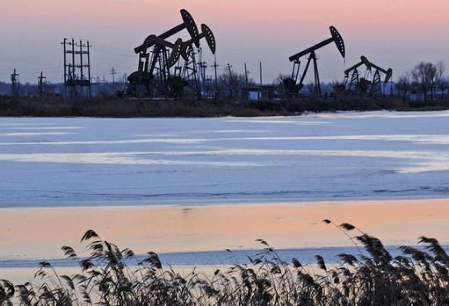 OPEC sees demand for its crude dropping to lowest in 30 years