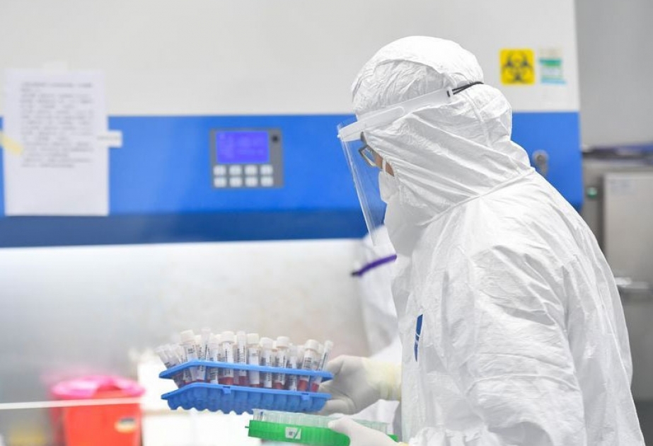 В провинции Хубэй за сутки не выявлено новых случаев заражения COVID-19