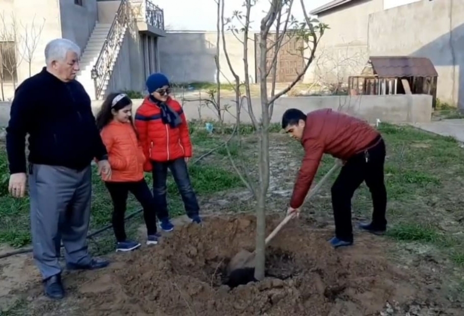 Mədəniyyət sahəsində çalışan insanlar sosial izolyasiya günlərində də öz işlərini onlayın qaydada yerinə yetirirlər