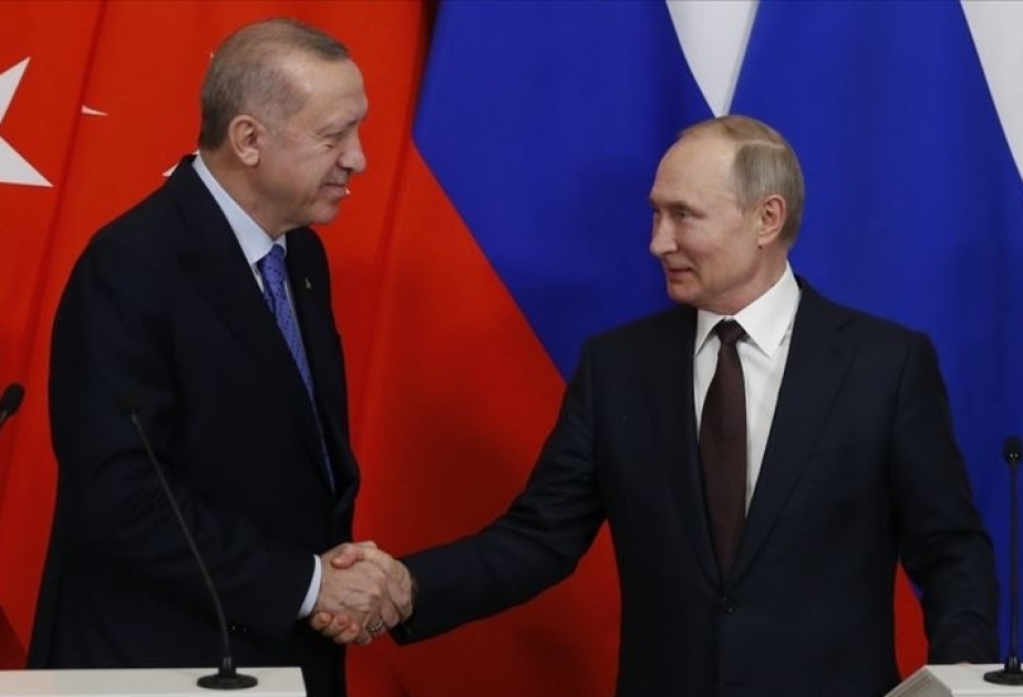 土耳其与俄罗斯总统通电话