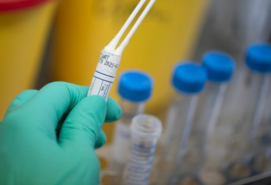 Германия тестирует вакцину против коронавируса