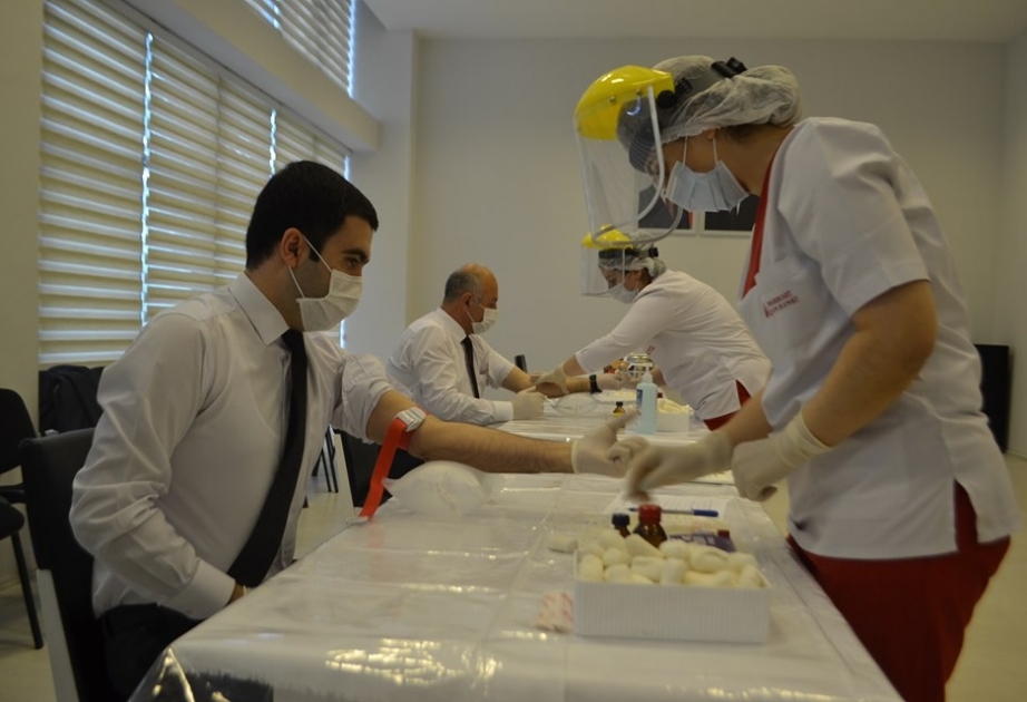 Mingəçevir Dövlət Universitetinin kollektivi qanvermə aksiyasında iştirak edib