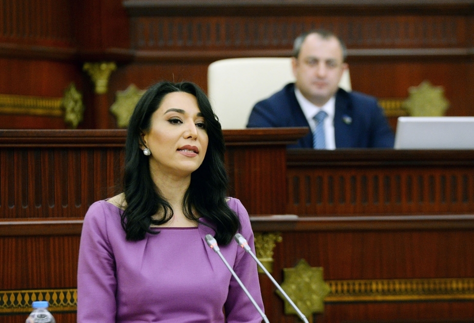 Принят ежегодный доклад омбудсмена
