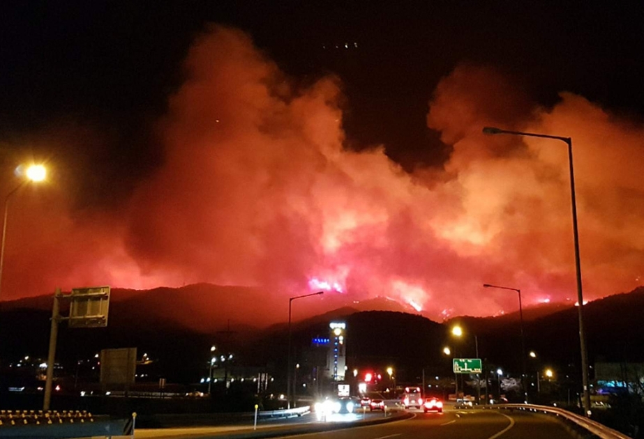 Cənubi Koreyada yanğın 100 hektar sahəni yararsız hala salıb