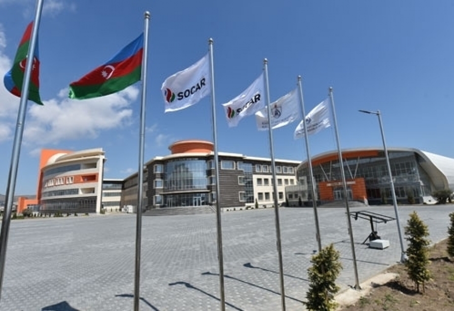 BHOS rector: Summer schools should be organised at the expense of universities this year