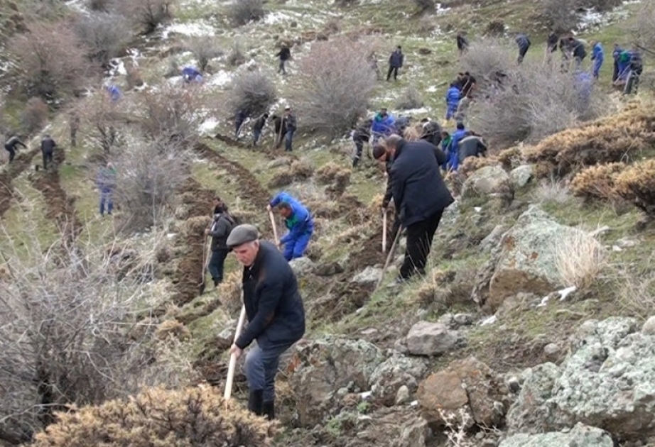 Ağbulaq kəndində yol kənarlarındakı yaşıllıq sahələrinin suvarma suyu ilə təminatı yaxşılaşdırılır