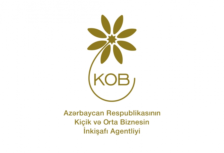 KOBİA yanında İctimai Şuranın üzvləri ilə videokonfrans keçirilib