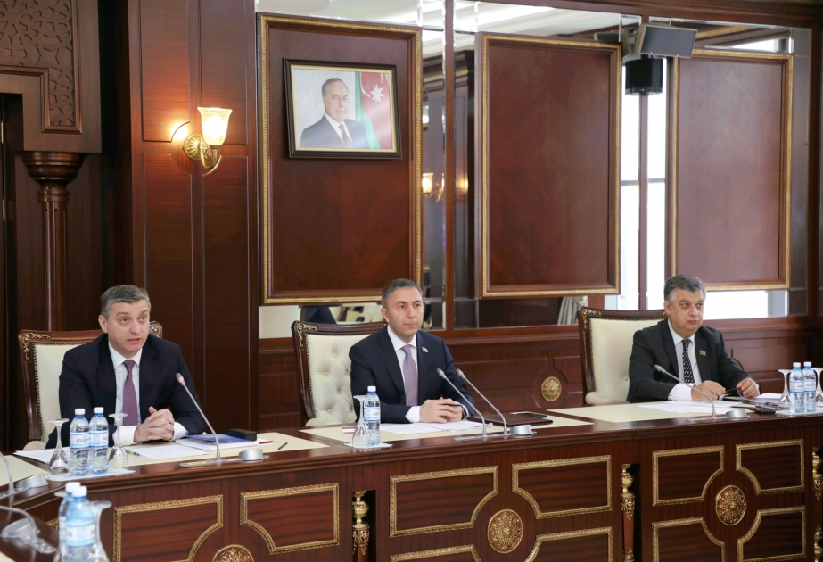 Milli Məclisin İqtisadi siyasət, sənaye və sahibkarlıq komitəsinin iclası keçirilib