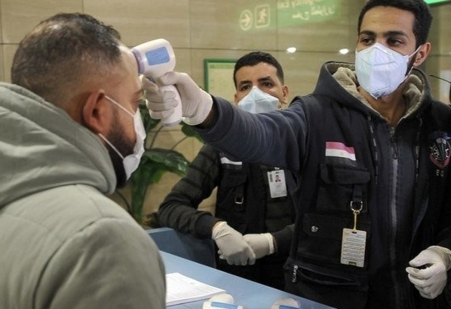 埃及新增22例新冠肺炎死亡病例