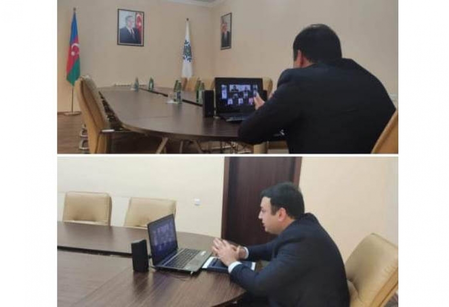 YAP Masallı rayon təşkilatı Gənclər Birliyi onlayn konfransı keçirib