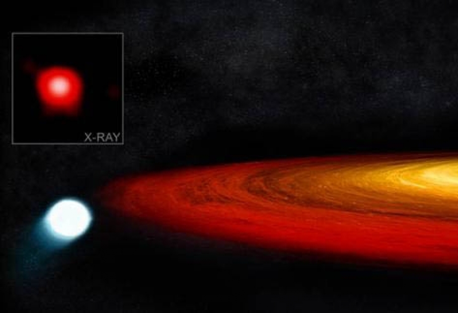 Stern umkreist Schwarzes Loch-und wird dabei beständig kleiner