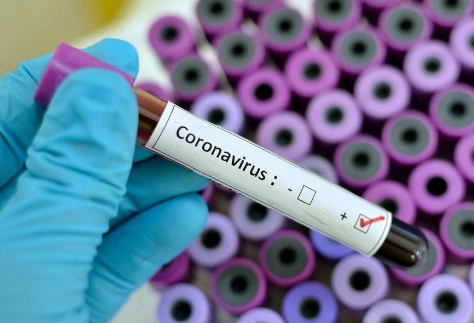 Cada día se realizan entre 10.000 y 12.000 pruebas de detección del coronavirus