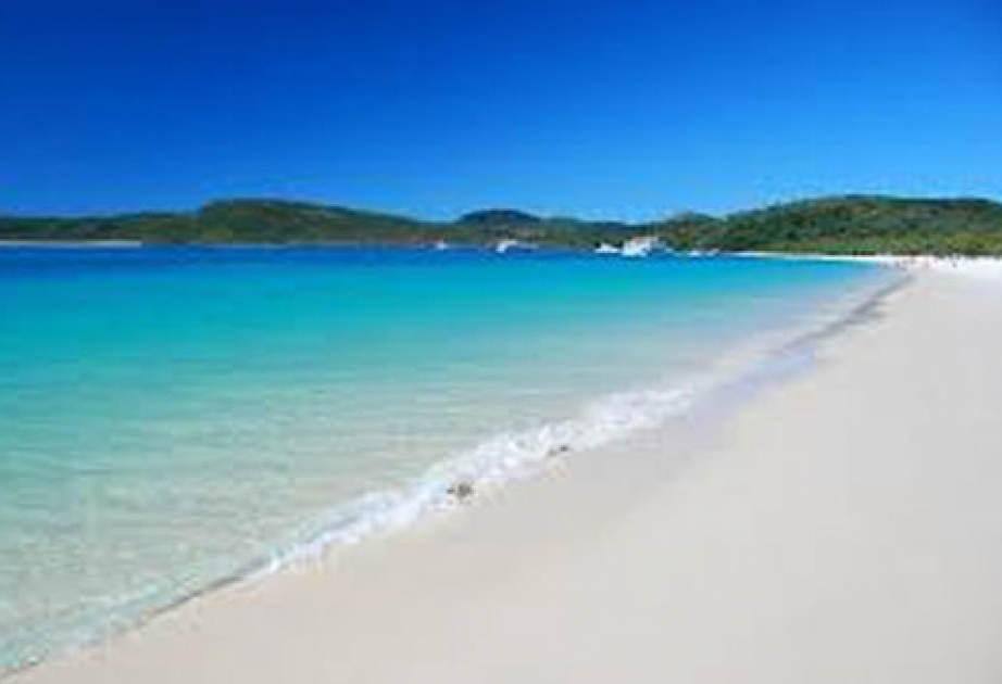 В Австралии и Новой Зеландии начали открывать пляжи и снимать ограничения