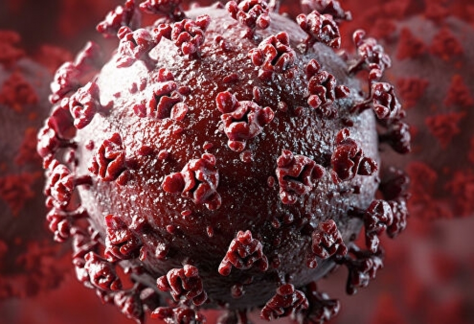 ABŞ kəşfiyyatı: koronavirus süni yaradılmayıb