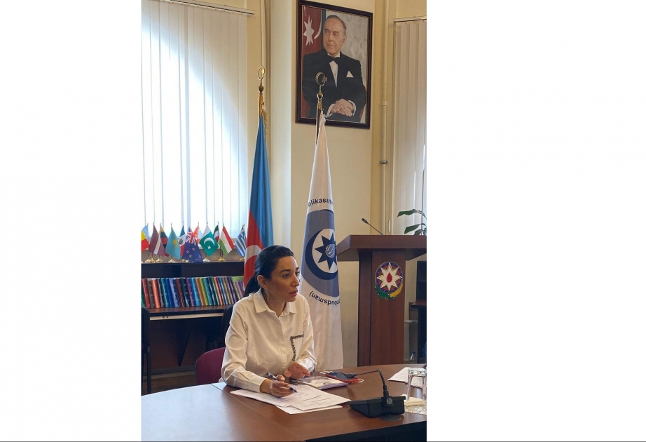 Ombudsman regional mərkəzlərin əməkdaşları ilə onlayn görüş keçirib