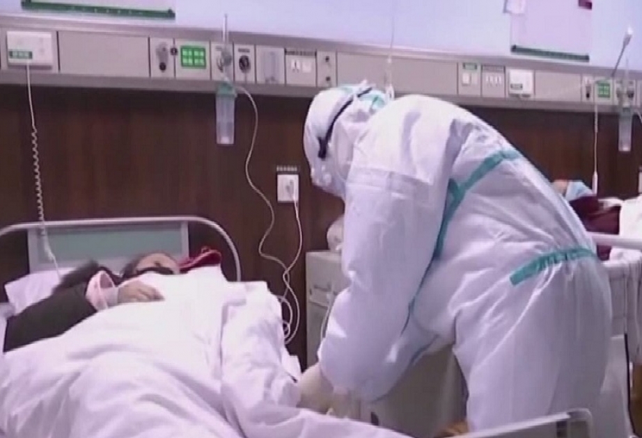 Daily record high of 31 deaths puts Japan's overall toll past 500