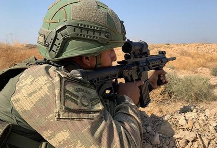 Turkey neutralizes 12 YPG/PKK terrorists in N.Syria