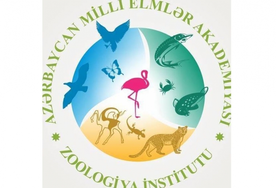 Zoologiya İnstitutu “Evdə qal” çağırışına qoşularaq sosial videoçarx hazırlayıb
