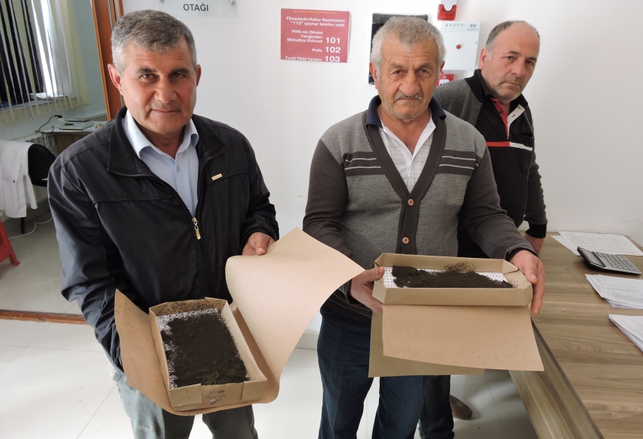 Dağlıq ərazilərdə yerləşən rayonların kümçülərinə ipəkqurdları paylanılır