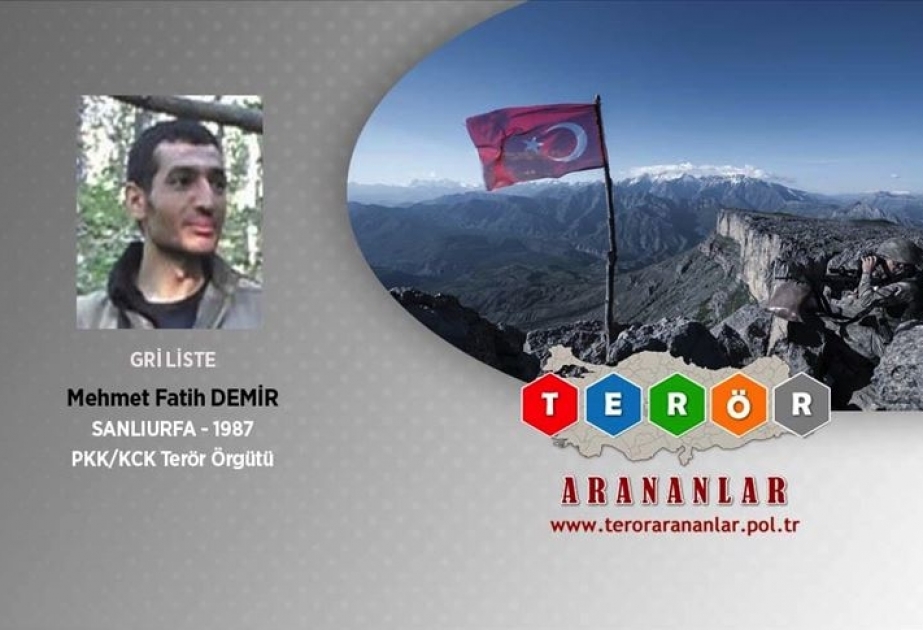Türkiyədə axtarışda olan təhlükəli terrorçu məhv edilib