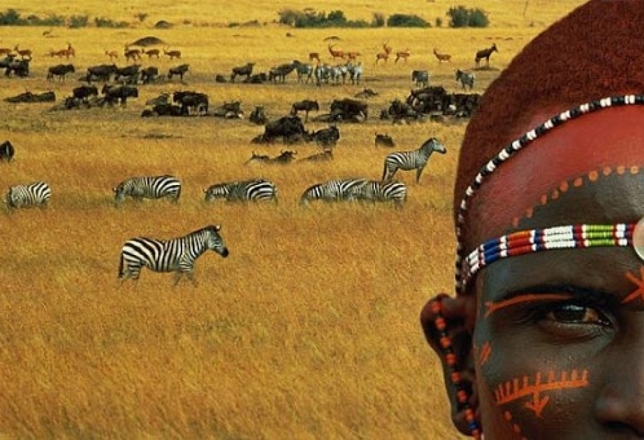 Afrikada turizm sektorunun bərpası üçün 10 milyard dollar tələb olunur