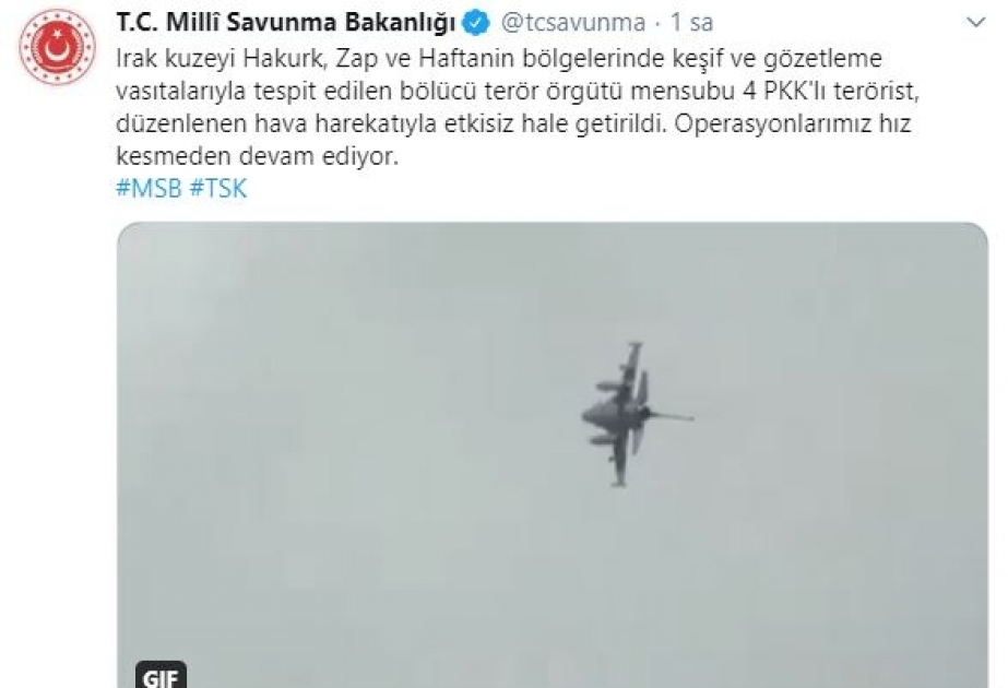 Türkiyədə və İraqın şimalında 7 terrorçu zərərsizləşdirilib