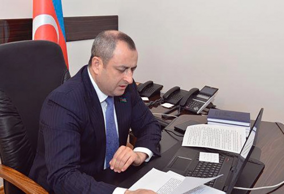 Milli Məclisin Gənclər və idman komitəsinin onlayn iclası olub