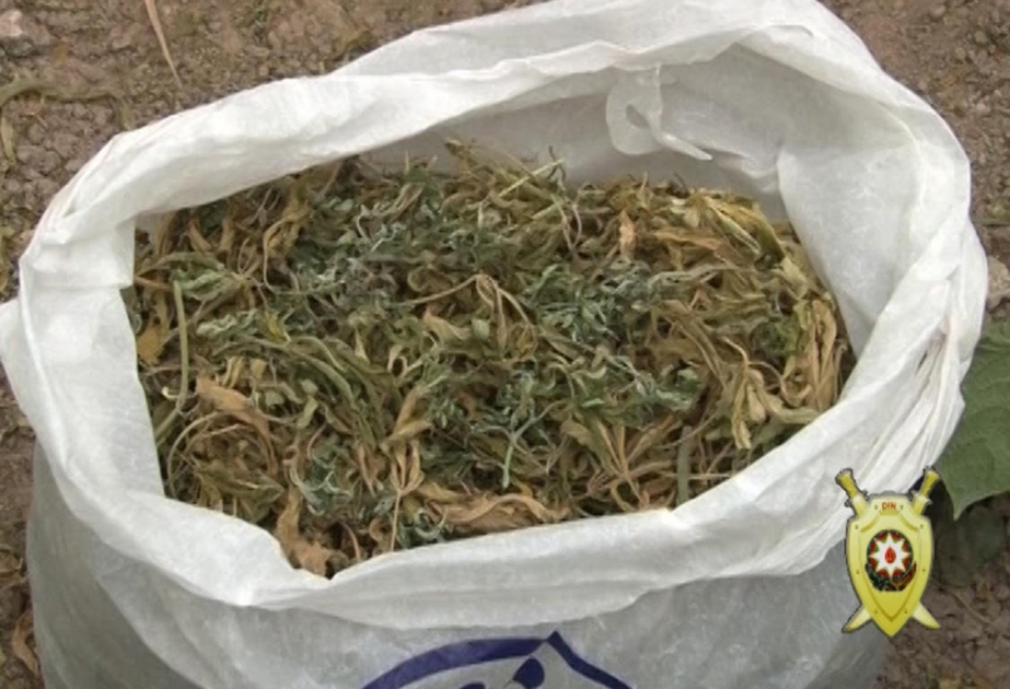 Narkotik vasitələrin qanunsuz dövriyyəsinə qarşı mübarizə tədbirləri qətiyyətlə davam etdirilir