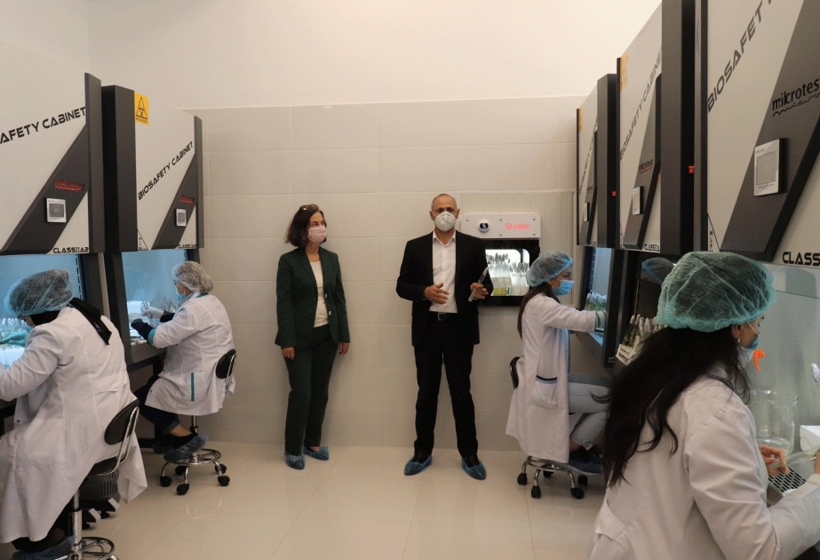 “Azərbaycanda sağlam toxumluq kartof istehsalı üzrə milli sistemin yaradılması” layihəsi davam etdirilir