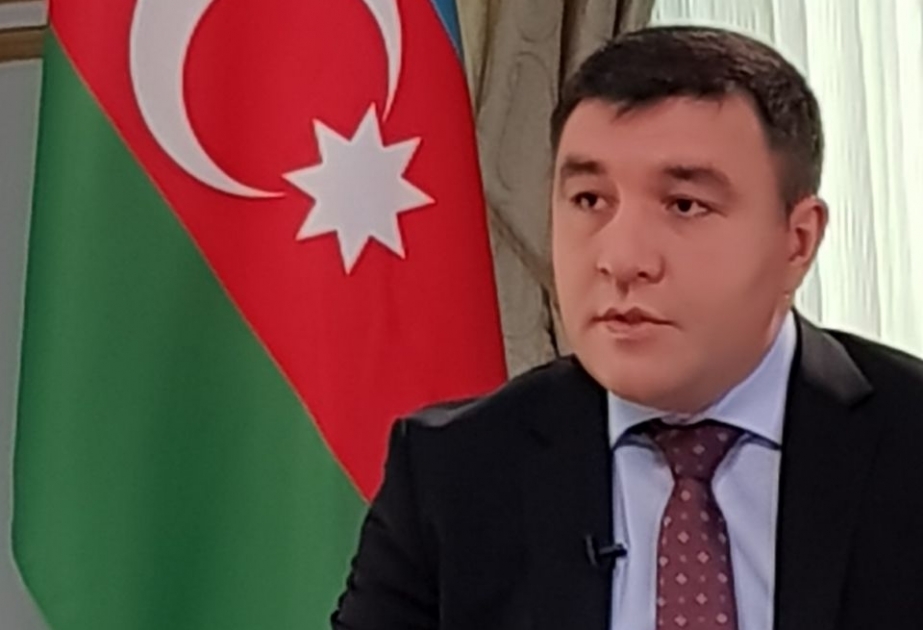 Səfir: Fərziyyə və ehtimallara söykənən dırnaqarası mütəxəssis rəyləri təəccüb və təəssüf doğurur