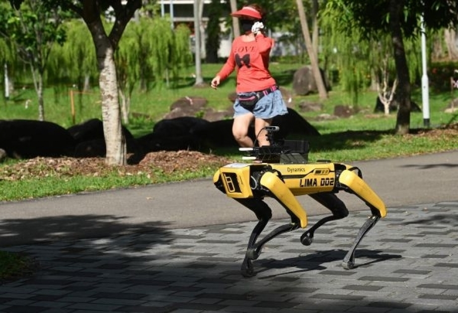 Sinqapurda karantinə riayət olunmasına robot-itlər nəzarət edir