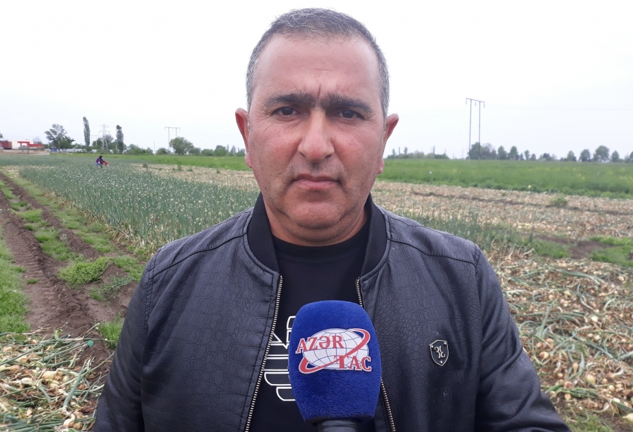 طلبات من عدد من الدول لشراء البصل الطازج