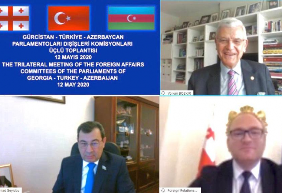 Azərbaycan, Gürcüstan və Türkiyə parlamentlərinin beynəlxalq münasibətlər üzrə komitə sədrlərinin onlayn iclası keçirilib