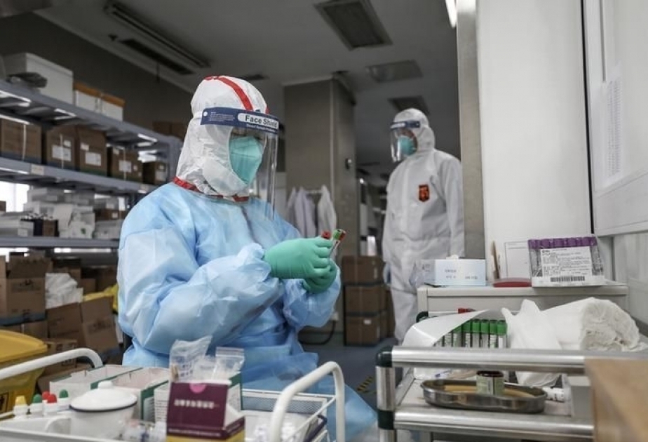 COVID-19 en Iran : 1481 cas de contamination et 48 décès en 24 heures