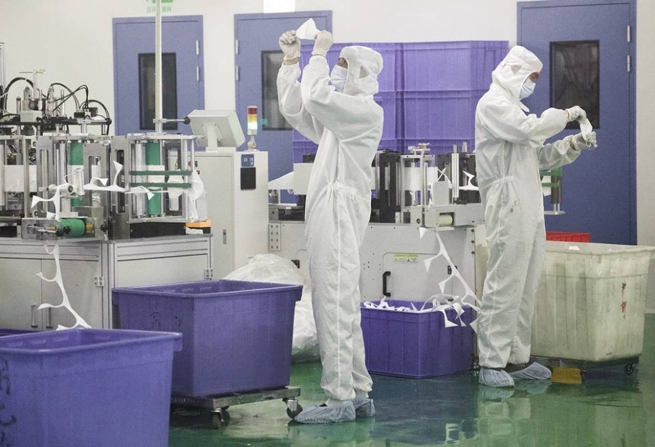 Ученые обнаружили близкий к SARS-CoV-2 коронавирус в естественной среде