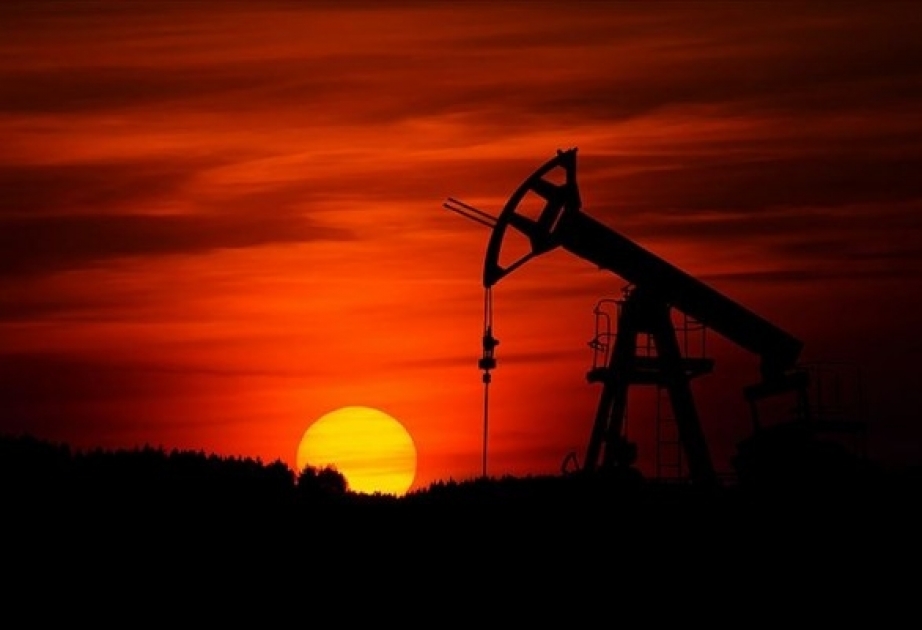 Qlobal neft tələbatı bu il gündəlik 8,6 milyon barrel azalacaq