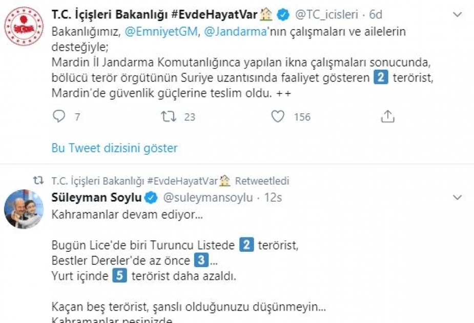 İlin əvvəlindən 78 terrorçu Türkiyə təhlükəsizlik qüvvələrinə təslim olub