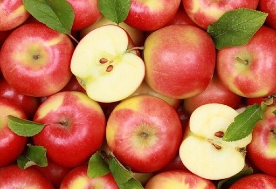 انخفاض حجم الصادرات من التفاح

