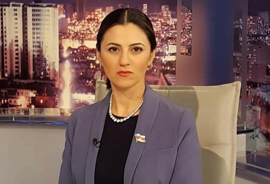 Avropa İttifaqı Şurasının qərarı Azərbaycanın növbəti diplomatik uğurudur