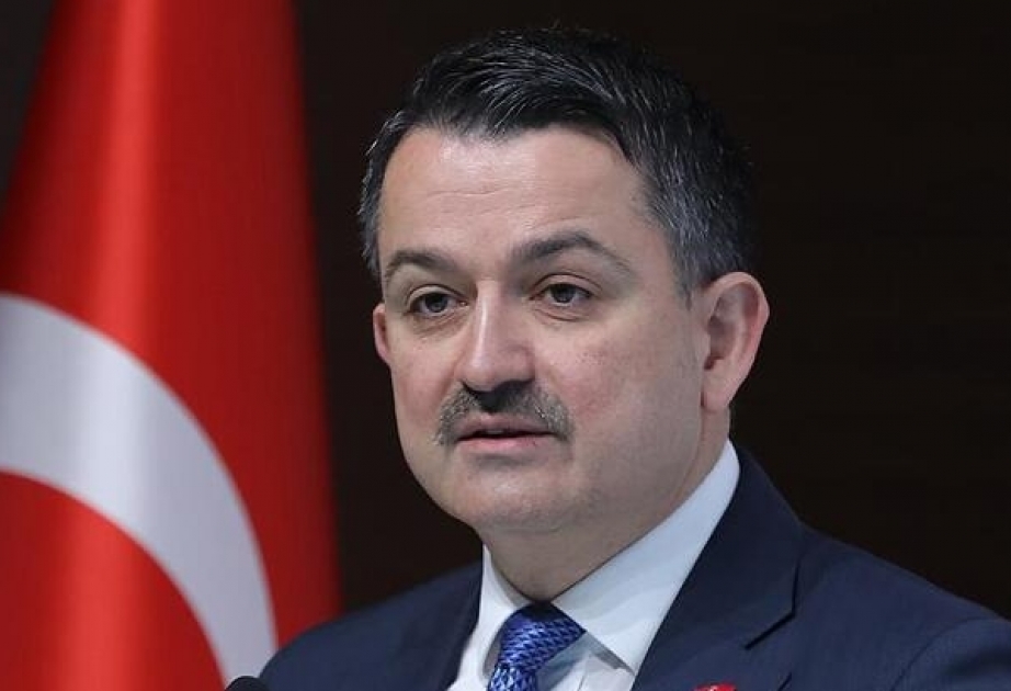 Türkiyədə COVID-19-a qarşı hazırlanan peyvənd heyvanlar üzərində sınaqdan keçiriləcək