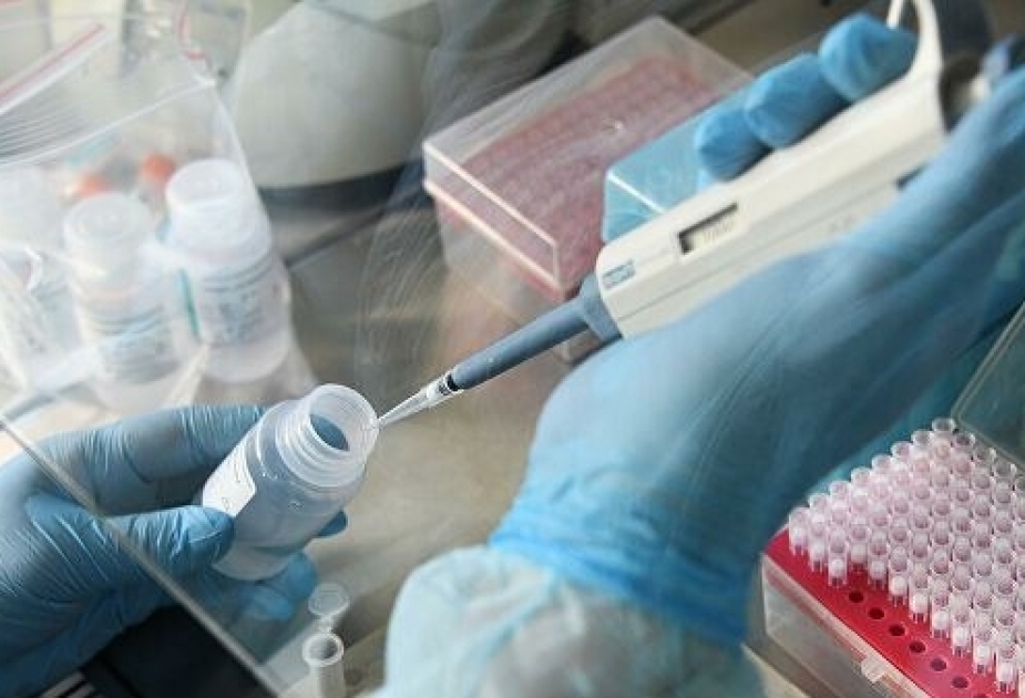 El número de muertes por coronavirus en el mundo ha excedido 311,000
