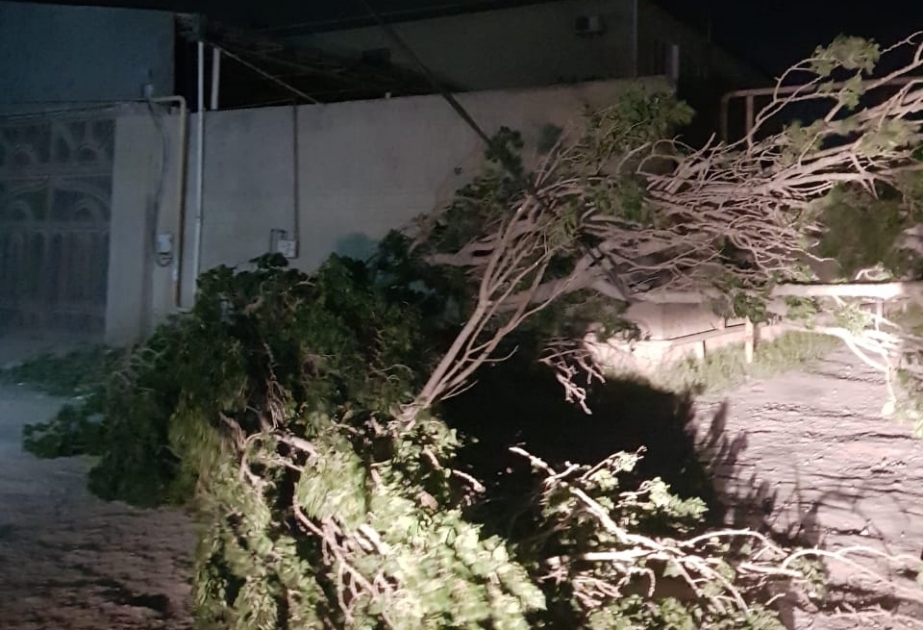 Güclü külək ağacları və binanın damını elektrik xətlərinin üzərinə aşırıb