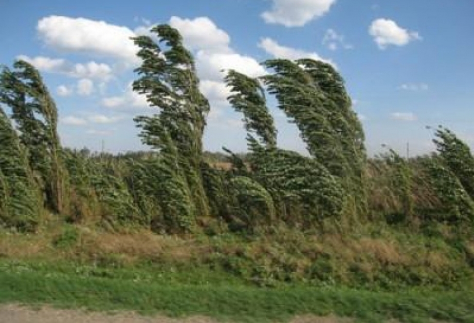Meteorologen warnen vor starkem Wind in Baku