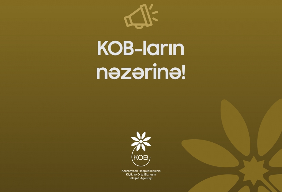 Almaniya Azərbaycan şirkətlərinin layihələrini dəstəkləməyi təklif edir